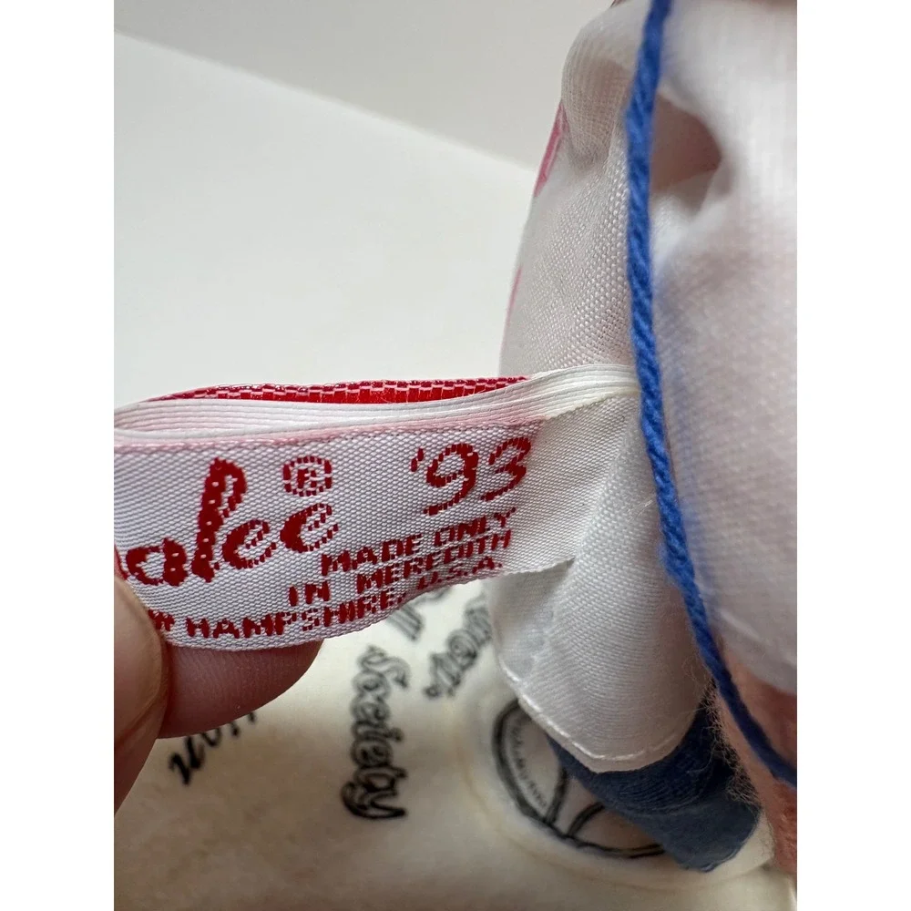 Annalee Mobilitee 1993 10th Anniversary Doll Society Boy w Ice Cream w Pin & Bag